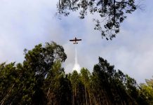 Casi mil bomberos combaten dos grandes incendios en el centro de Portugal