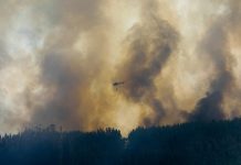Suben a 64 los muertos por el incendio que sigue activo en Portugal