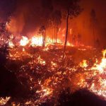 Bomberos luchan contra siete grandes incendios en Portugal