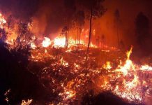 Bomberos luchan contra siete grandes incendios en Portugal