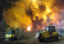 Controlan gran incendio que arrasaba el centro de Portugal