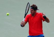 Del Potro cae ante Dimitrov en Cincinnati