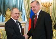 Putin destaca relación entre las fuerzas de Rusia y Turquía