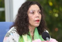 Nicaragua registra 530 incendios en lo que va del 2017