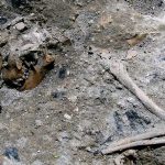 Hallan restos arqueológicos en obras del metro en Roma