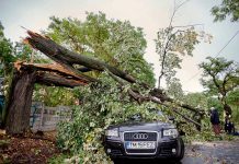Violenta tormenta deja 8 muertos y 140 heridos en Rumania