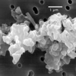 Europa lanza un satélite para observar la Tierra