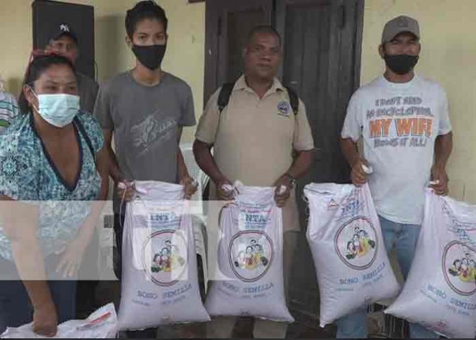 SEMILLA- nicaragua, rivas, bono de semilla,