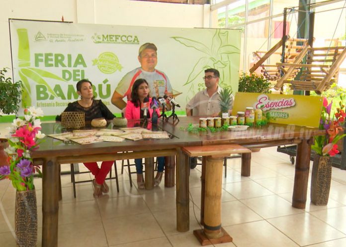 Sin-titulo-4_mZQZN5C