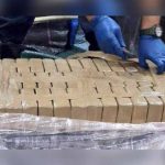 Decomisan 1,151 kilos de cocaína en Costa Rica