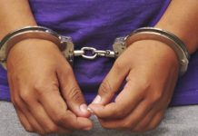 Detienen en El Salvador a furgonero que transportaba cocaína para «Barney»