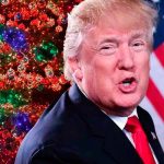 Donald Trump y el regalo de Navidad de los indocumentados latinos