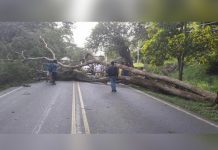 Frente frío deja en Costa Rica 3 muertos y 35 casas sin techo