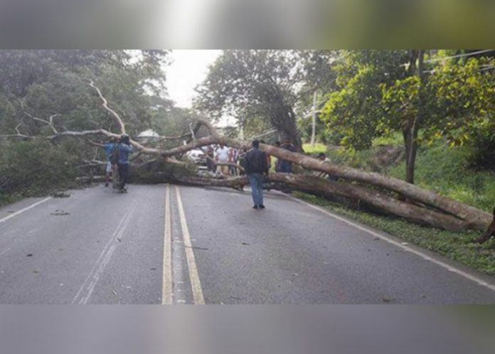 Sin_titulo-1_1S5DpzJ