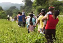 México: Rescatan a más de 100 inmigrantes centroamericanos en condiciones infrahumanas