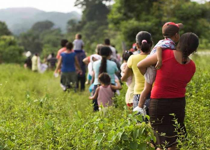 Sin_titulo-1_2LQM4hQ