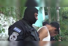 Arrestan a 52 pandilleros en operativo de seguridad en El Salvador