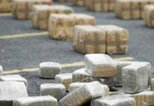 Bolivia confisca más de 9 toneladas de cocaína en primer semestre de 2017