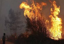 Más de 1.000 bomberos combaten cuatro grandes incendios en Portugal