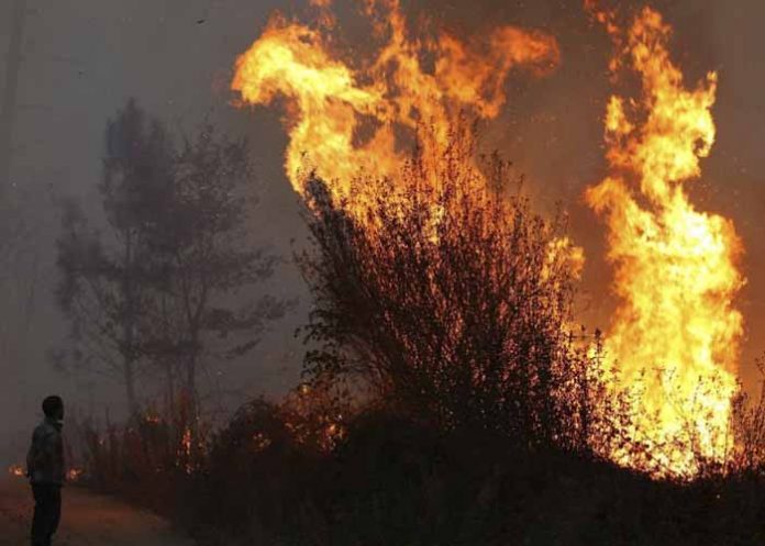 Sin_titulo-1_4YrwKm8