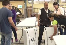 Hondureños se preparan para elegir a sus nuevas autoridades
