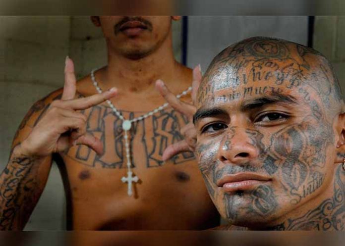 Sin_titulo-1_4jfjvF3