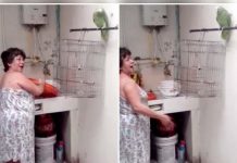 Video: Loro «furioso» reclama porque su papá no está en la casa