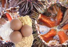 Huevo en polvo y erizos, productos no tradicionales que también exporta Guatemala