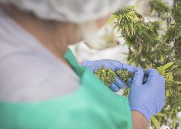 Sin_titulo-1_84jbDNZ