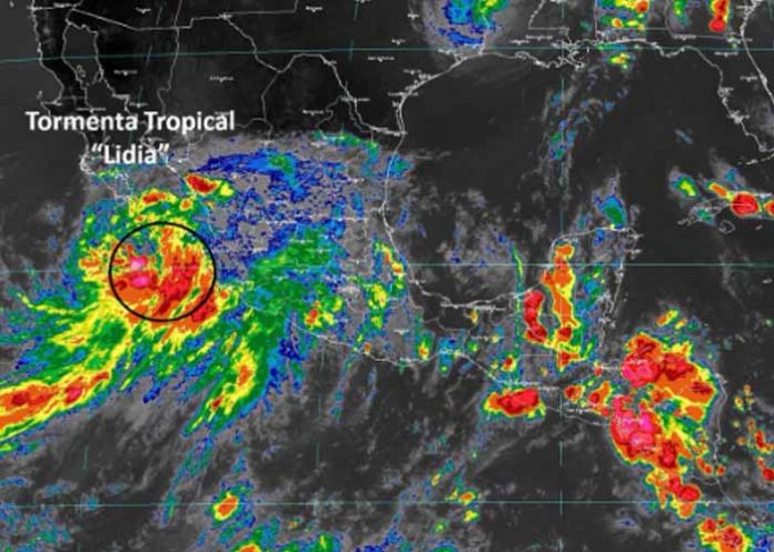 Sin_titulo-1_8JHRZF6