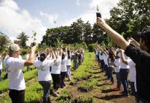 Gobierno de El Salvador plantará un millón de árboles en zonas degradadas