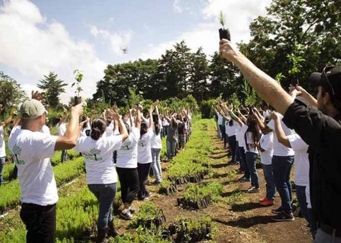 Sin_titulo-1_8b9Lcbb