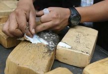 Autoridades guatemaltecas decomisan 780 kilos de cocaína