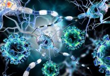 Descubren cómo las bacterias se hacen resistentes a los antibióticos
