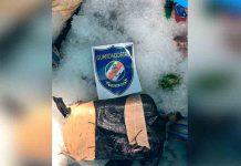 Costa Rica: Quiebran a narcos que llevaban cocaína camuflada entre hielo