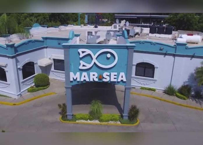 Sin_titulo-1_A9nR2Sx