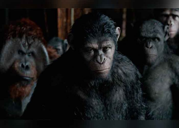 Sin_titulo-1_AYccMia