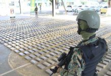 Autoridades panameñas decomisan 800 kilos de cocaína