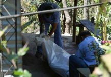El Salvador: Anciano muere tras ser atacado con machete