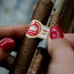 Tabaco, fuente de prosperidad para cubanos