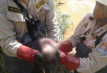 Honduras: Perros arrastran cadáver de bebé a una finca para devorarlo