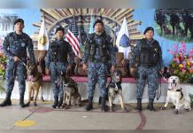 Policía de Guatemala jubila a cuatro agentes caninos antinarcóticos