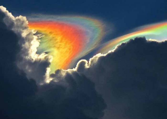 Sin_titulo-1_DDRxW01