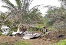 Avioneta dejó droga antes de estrellarse en Costa Rica