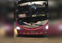 Video Viral: Polémica por cucarachas y pulgas que «adornan» bus en Costa Rica