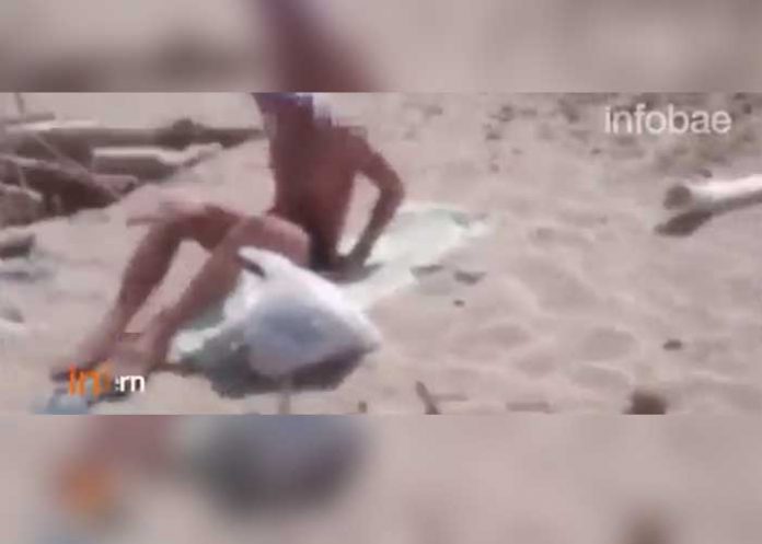 Sin_titulo-1_EpnMVmU