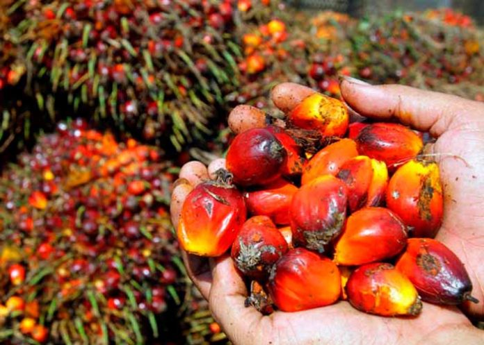 Sin_titulo-1_EstPOq8