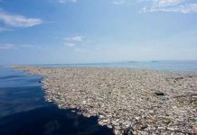 El gigantesco «mar de basura» que tensa las relaciones entre Honduras y Guatemala