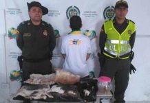 Condenan a colombiano que hurtaba y comía gatos