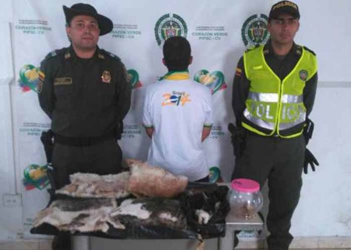 Sin_titulo-1_FLtguey